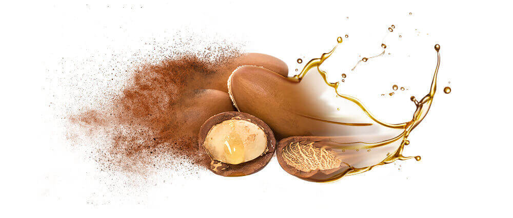 Moroccan Argan Fruit